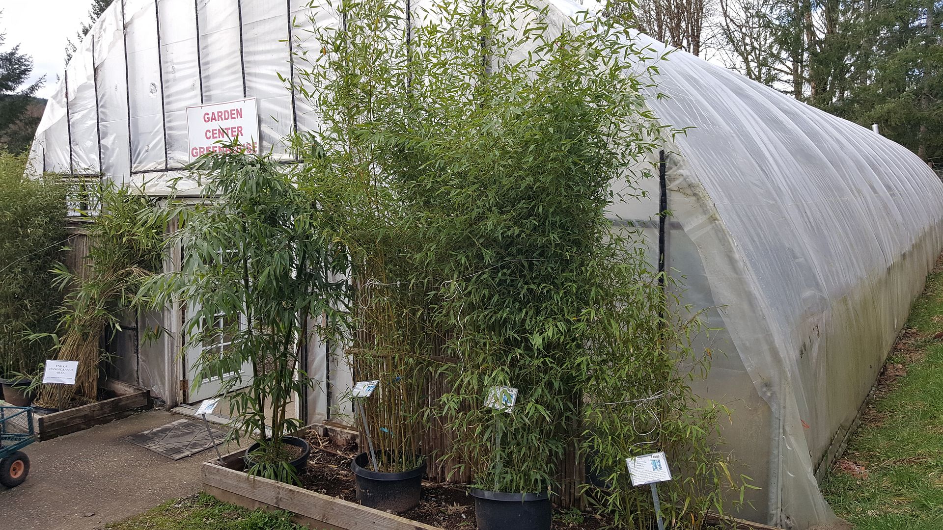 Seattle Garden & Fruit Adventures Nursery Review Raintree Nursery in Washington